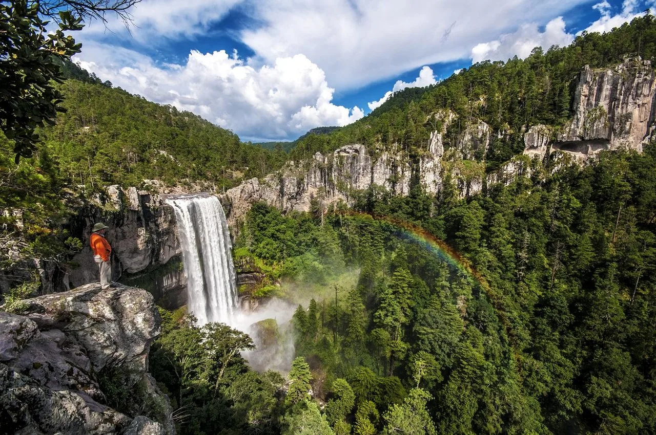 Portada de Naturaleza