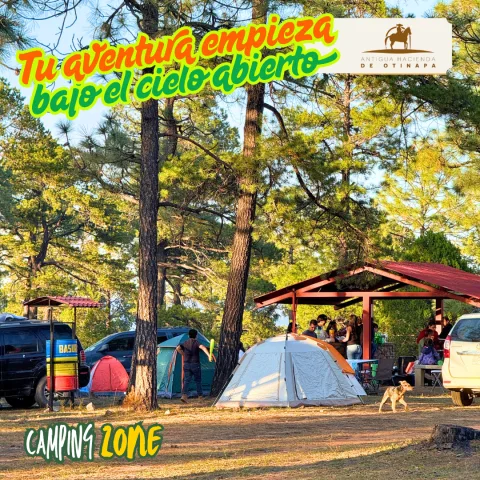 Camping