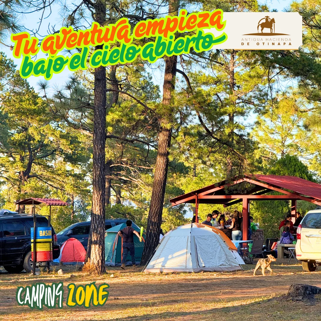 Camping