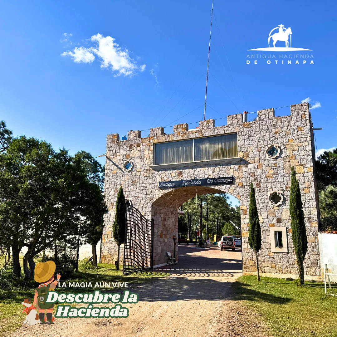 Entrada