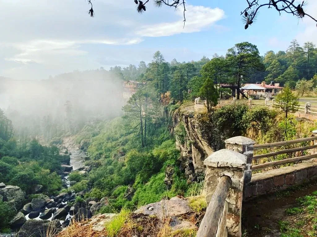 Imagen de Cabañas Mil Diez