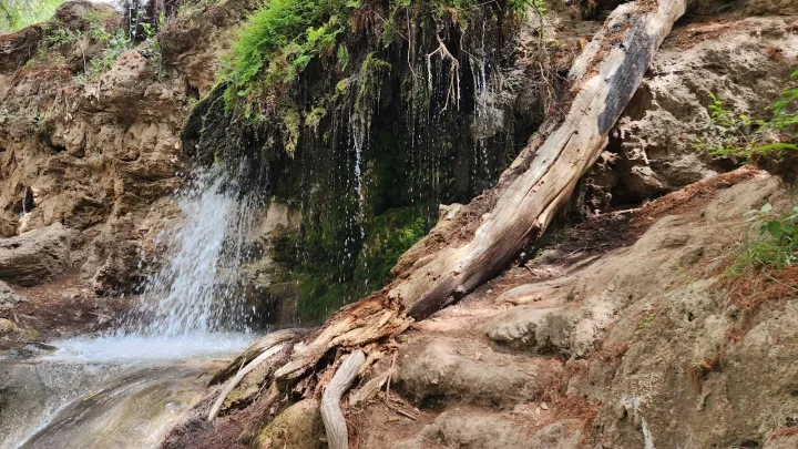 Imagen importada para Barranca de San Quintín