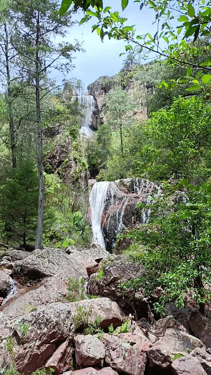Imagen importada para Cascada El Rincón, Chavarría Viejo