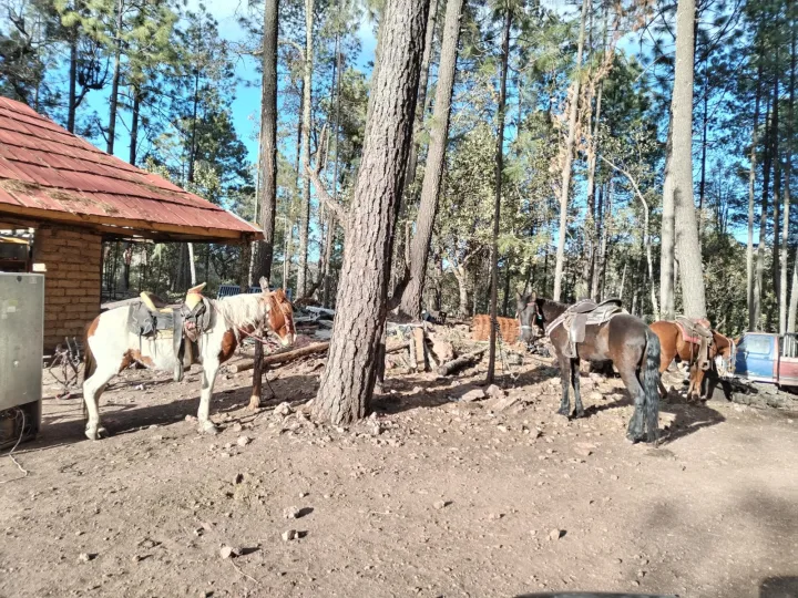 Imagen de Rancho Dos Cascadas