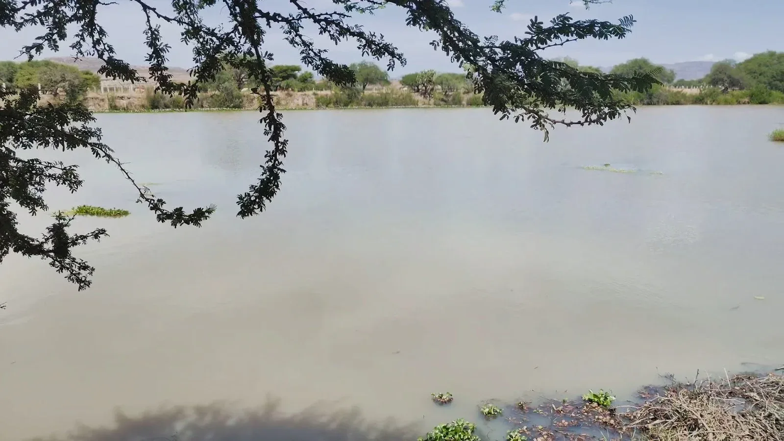 Imagen importada para Centro ecoturístico San José del molino