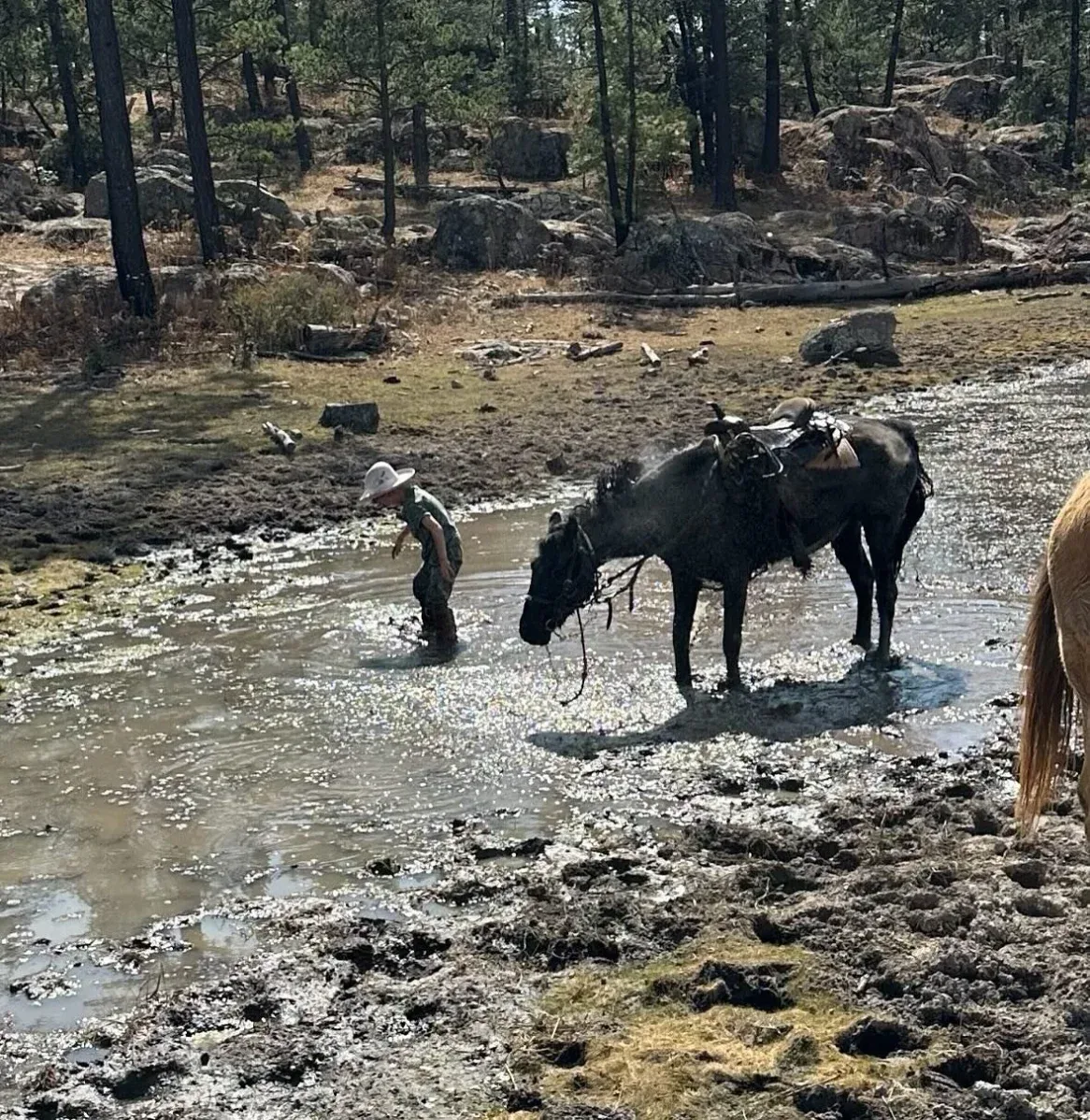 Imagen importada para Rancho La Luna Resort