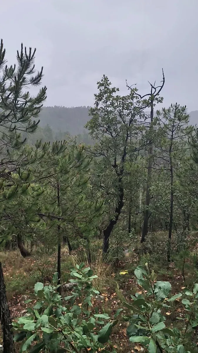 Imagen importada para Sierra Manantial