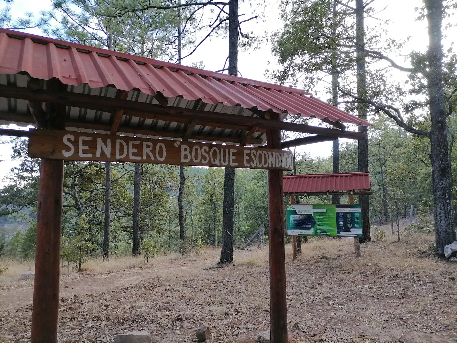 Imagen importada para Bosque Escondido