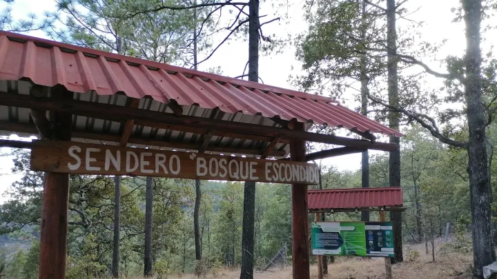 Imagen importada para Bosque Escondido