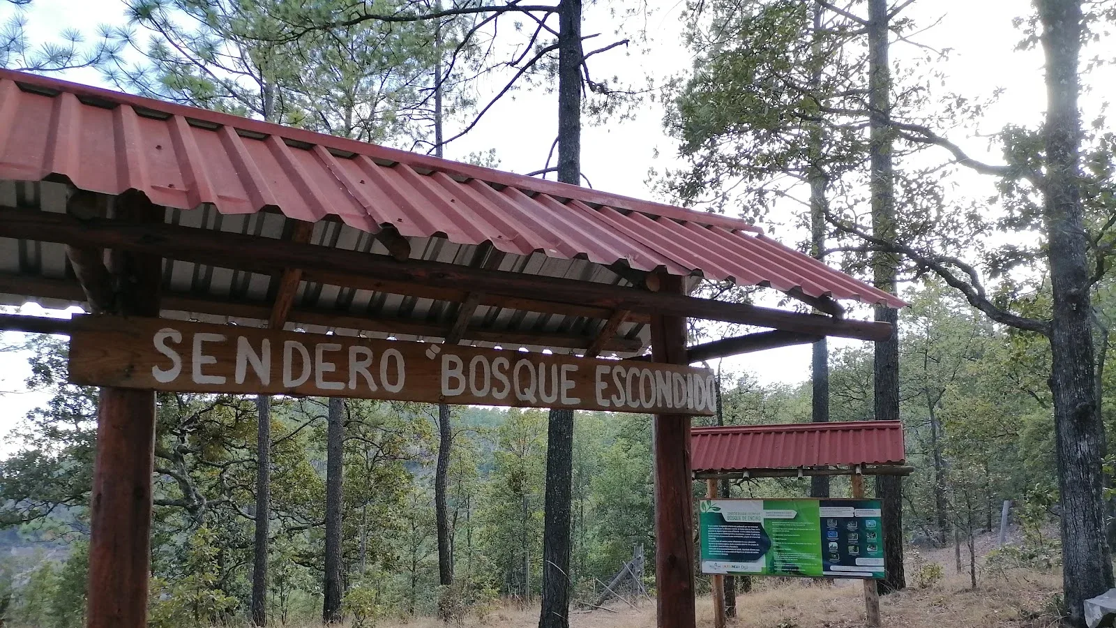 Imagen importada para Bosque Escondido