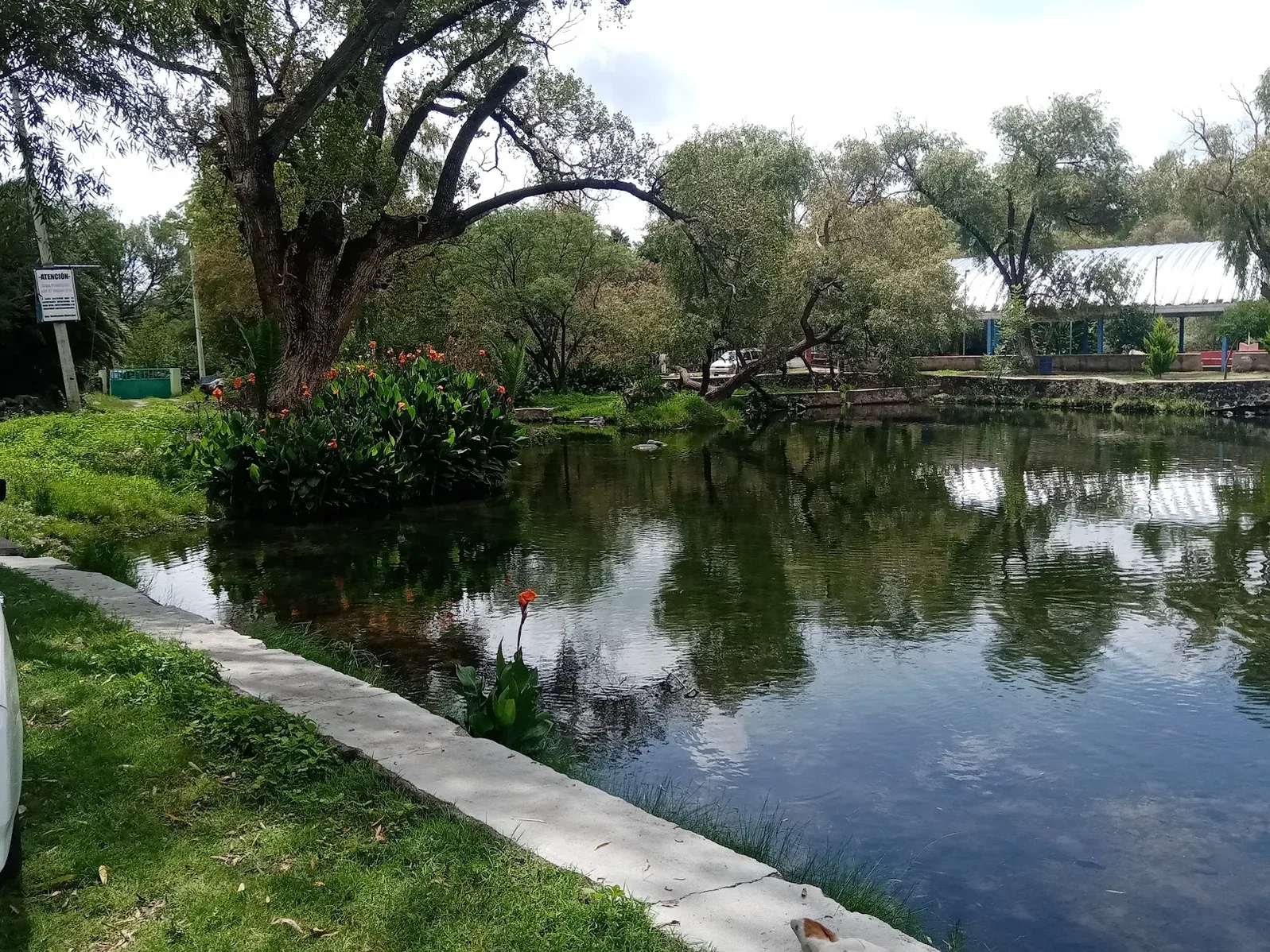 Imagen importada para Balneario El Ojito