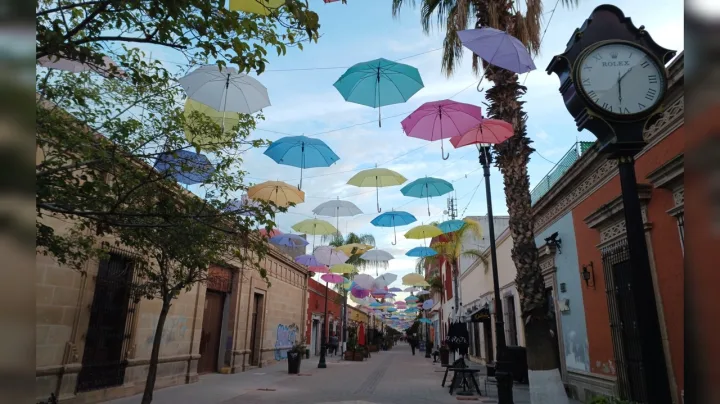 galería de Paseo Constitución Temporada