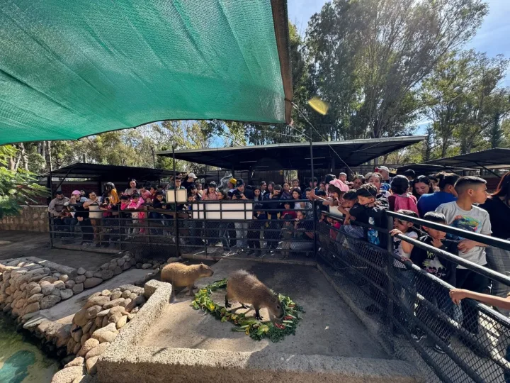 Imagen importada para Zoológico Sahuatoba Durango