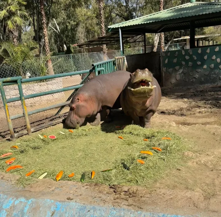Imagen importada para Zoológico Sahuatoba Durango