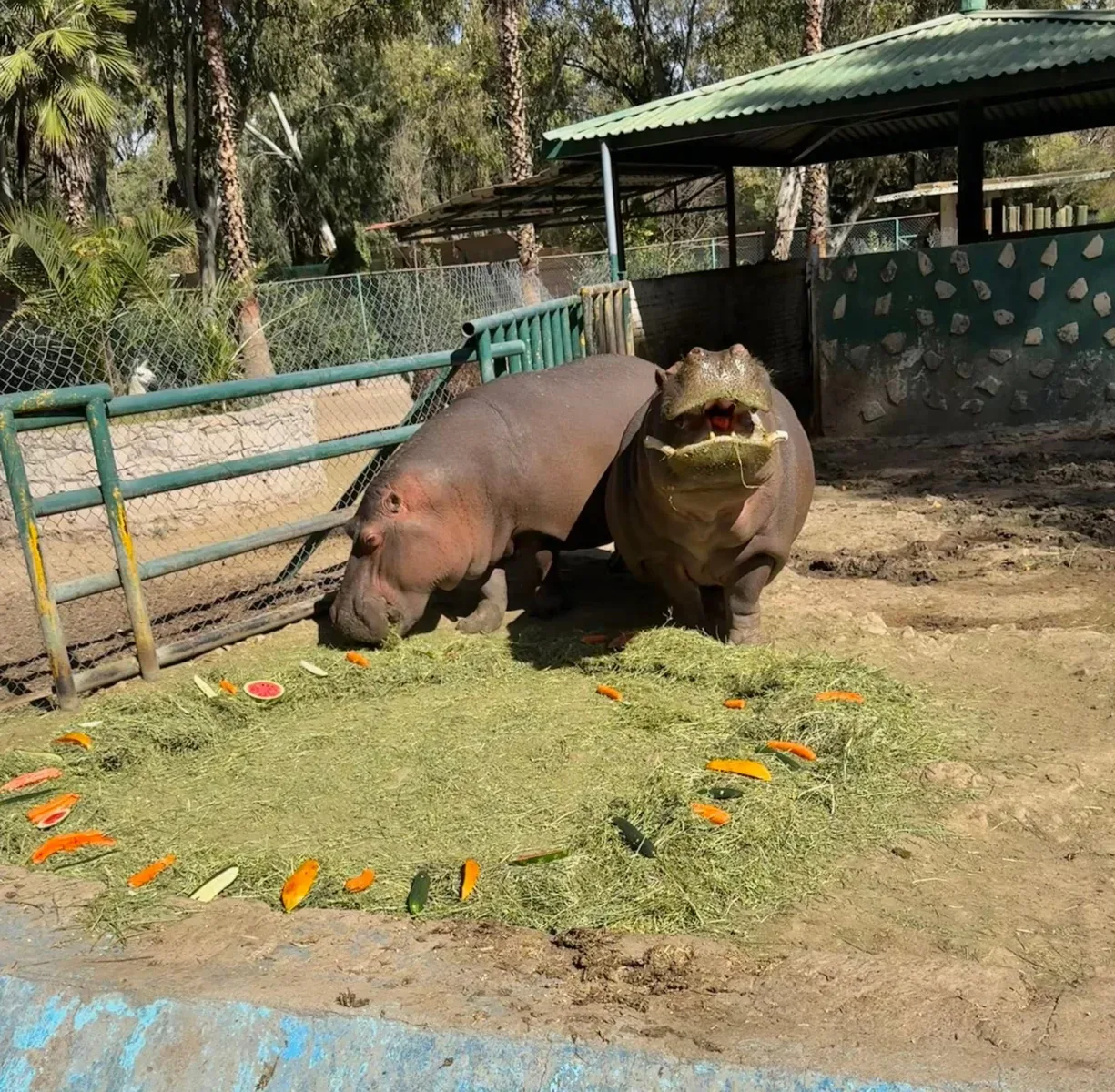 Imagen importada para Zoológico Sahuatoba Durango