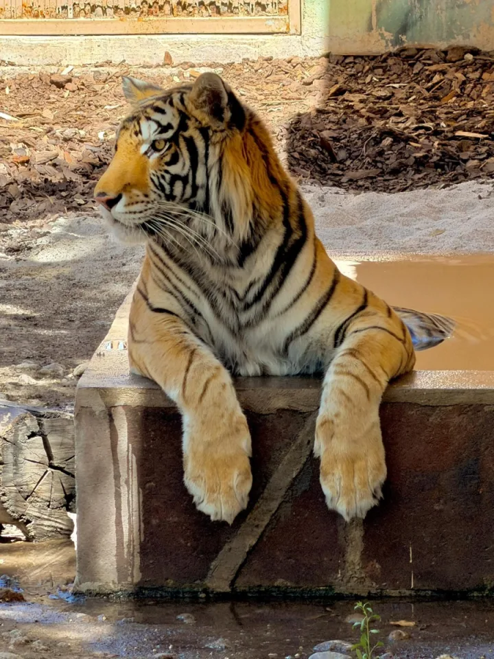 Imagen de Zoológico Sahuatoba Durango