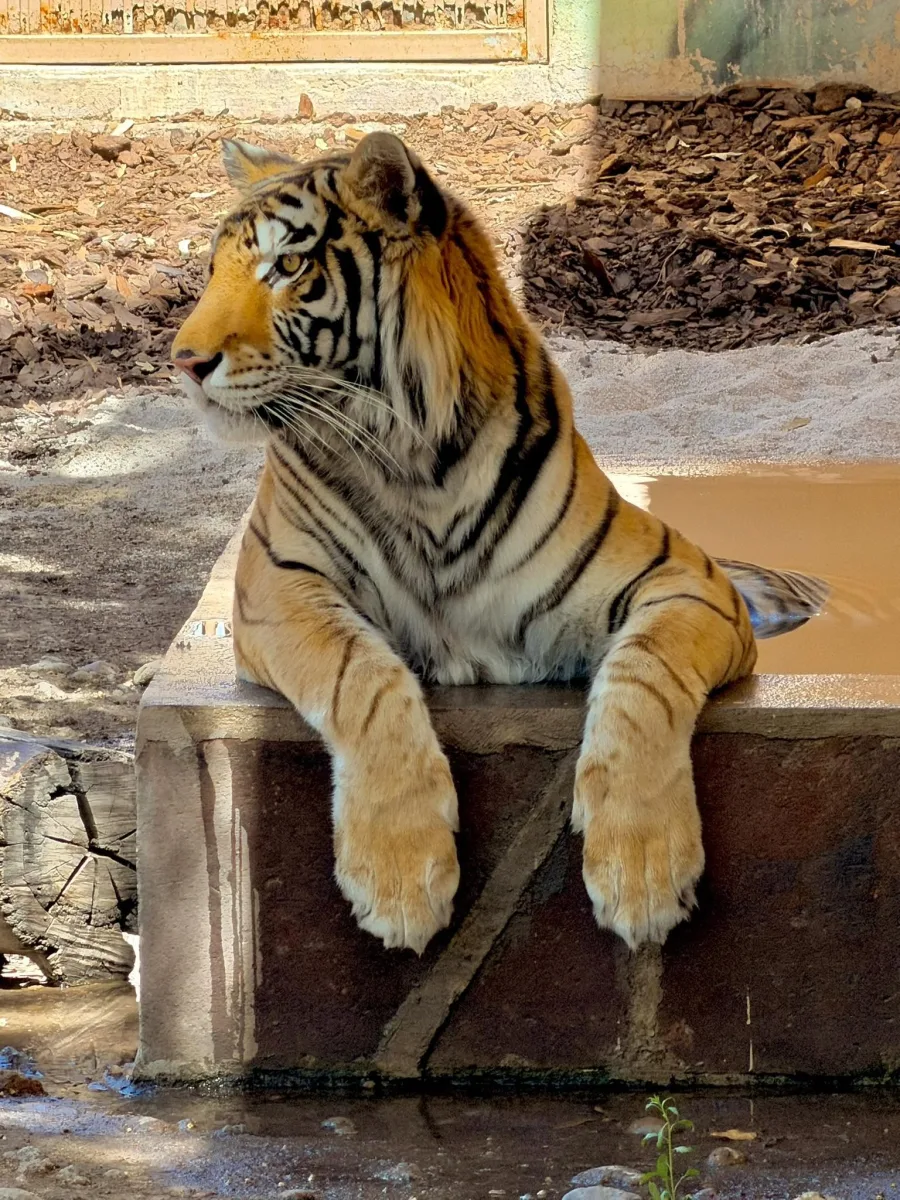 Imagen de Zoológico Sahuatoba Durango