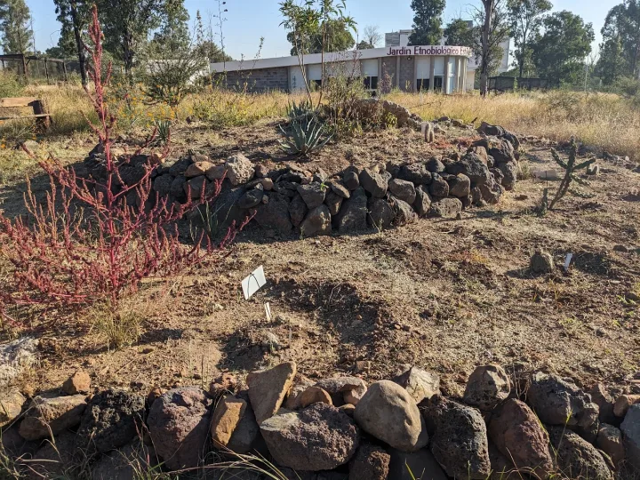 Imagen importada para Jardín Etnobiológico Estatal de Durango