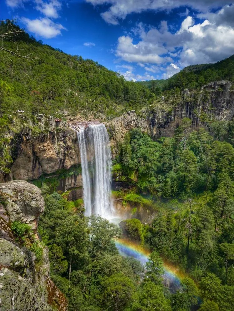 Entorno natural de Cabañas Salto del Agua Llovida