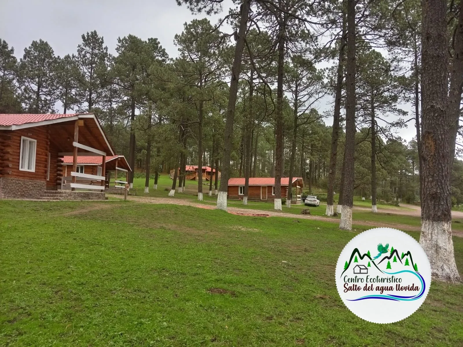 Cabañas y bosque en Salto del Agua Llovida