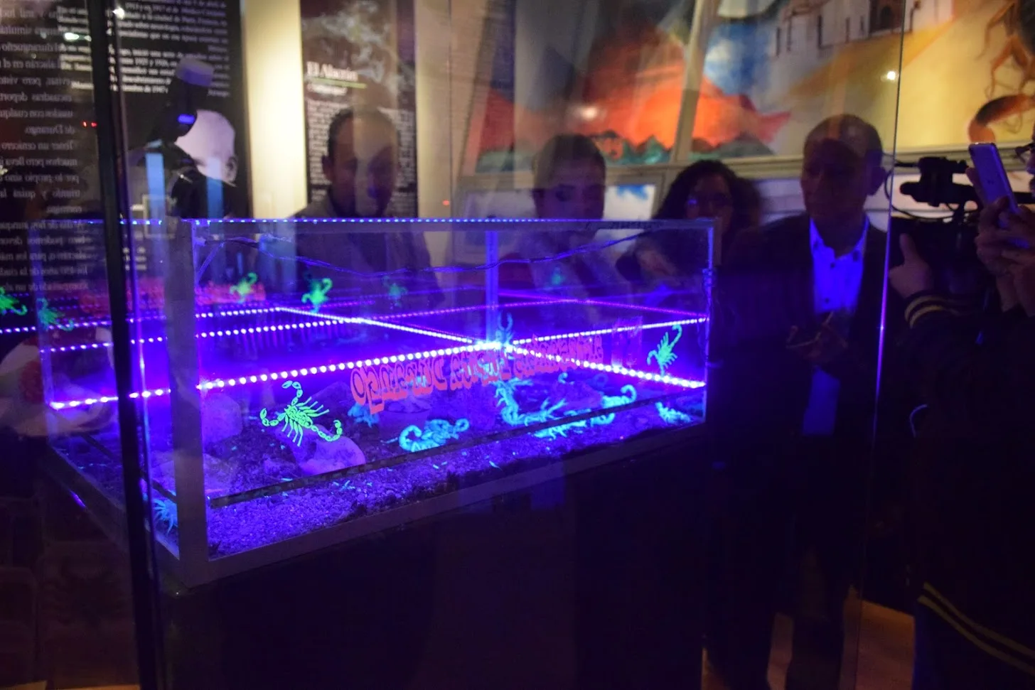 Museo de la Ciudad 450 Alacranario