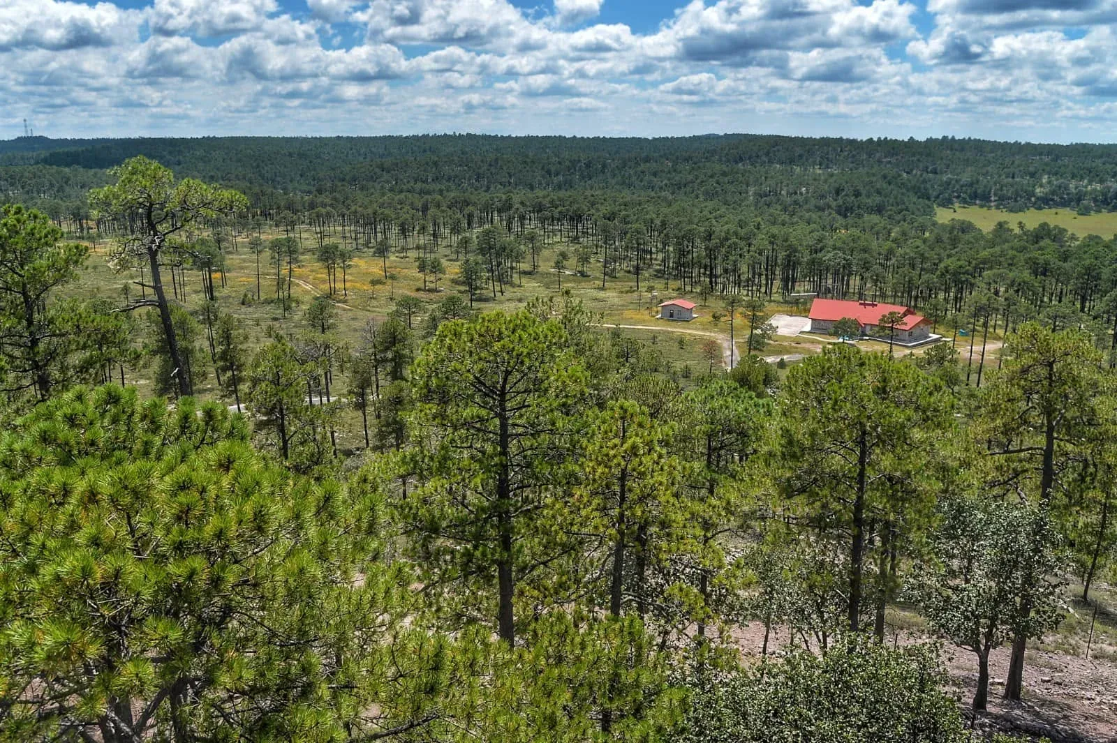 Imagen importada para Parque Ecológico "El Tecuán"