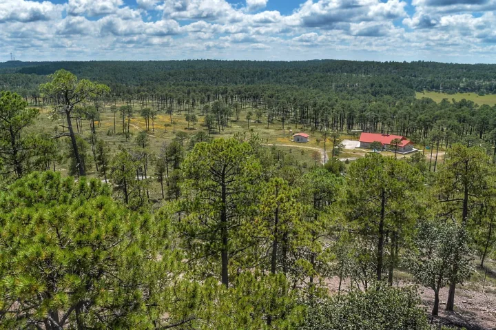 Parque Ecológico El Tecuán - imagen 3