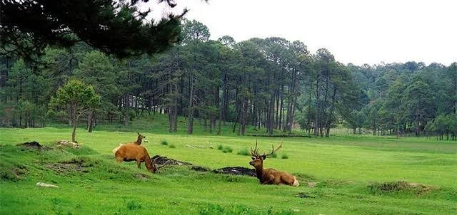 Parque Ecológico El Tecuán - imagen 1