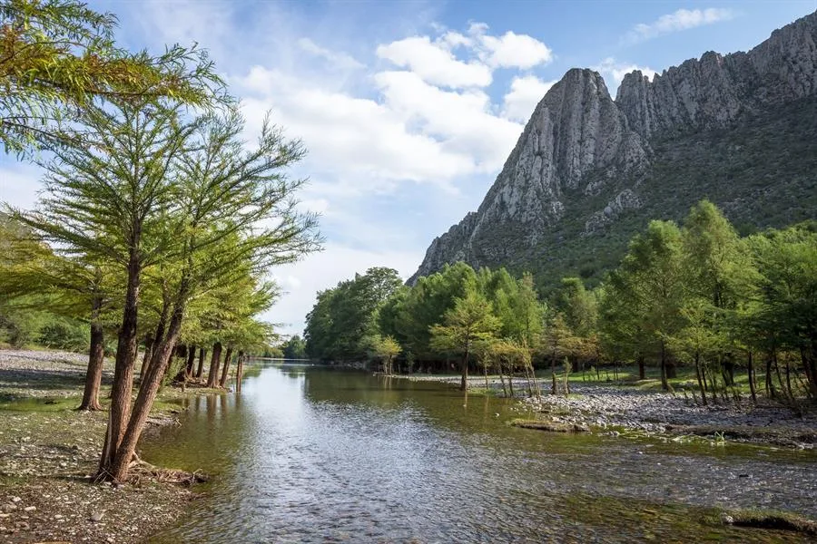 Cañón de Fernández - imagen 1