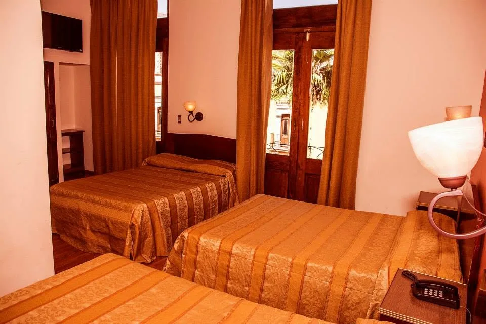 galería de Hotel Roma Durango